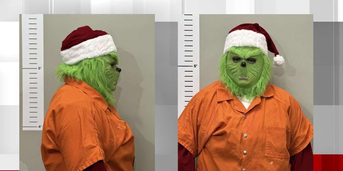 image for Man in Grinch suit arrested after drinking too much eggnog