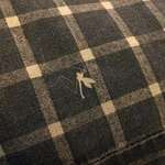 image for An insect got stuck between the printer and the fabric.