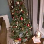 image for Finally got permanent job and decided to buy my first Christmas tree in 11 years.