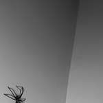 image for Told my girlfriend I caught it so she could sleep, but it's still at large.
