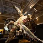 image for Absolutely mental diorama of sharks attacking a dinosaur in the National Museum in Prague