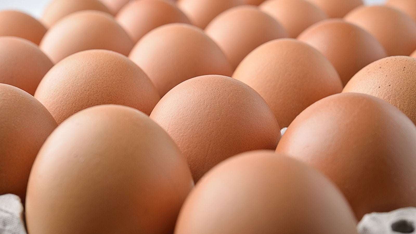 image for FDA escalates recall of Costco eggs to include risks of 'severe illness or death'