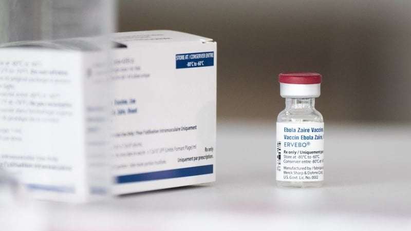image for Ebola: How a vaccine turned a terrifying virus into a preventable disease