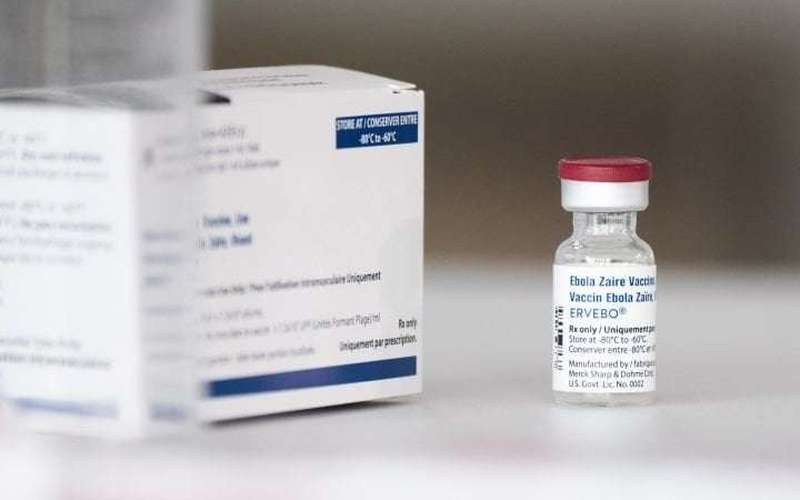 image for Ebola: How a vaccine turned a terrifying virus into a preventable disease