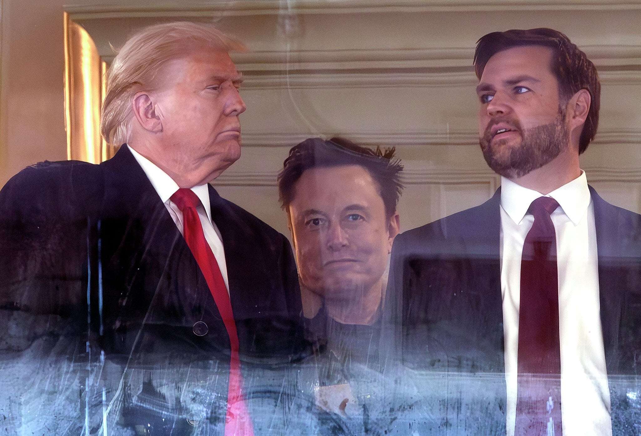 image for Elon Musk will 'go to war' against far-right over immigration