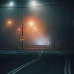 image for Foggy morning