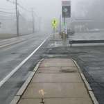 image for My street looked straight out of a horror movie this morning