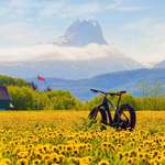 image for Sunny day in Norway