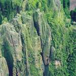 image for Close-up of an old tree stump that looks like jungle-like mountains