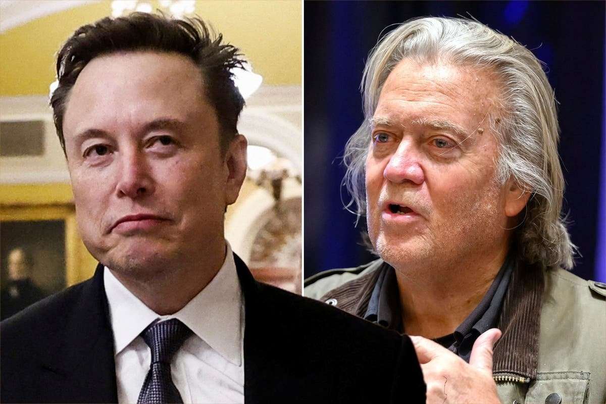 image for ‘We’re going to rip your face off’ in visa fight, Steve Bannon warns Elon Musk