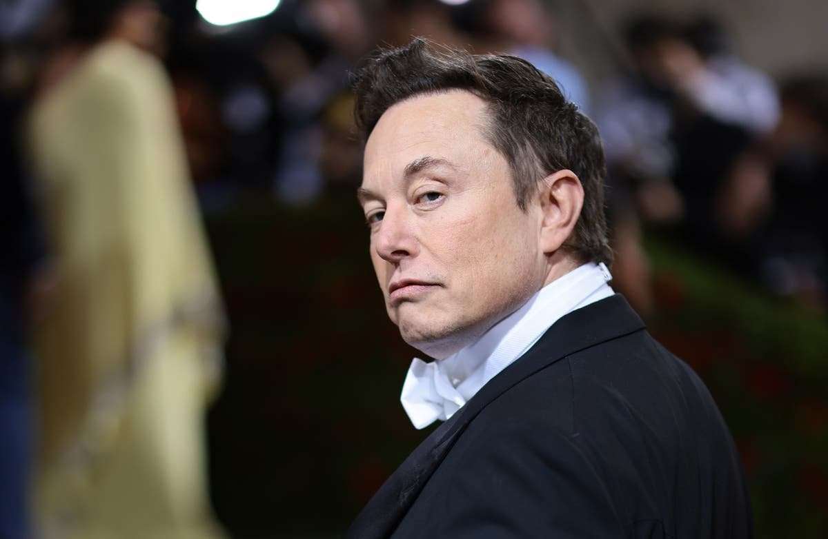 image for Laura Loomer comes for ‘welfare queen’ Elon Musk as MAGA war heats up