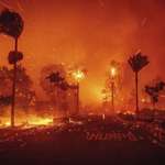 image for A completely engulfed neighborhood in Pacific Palisades