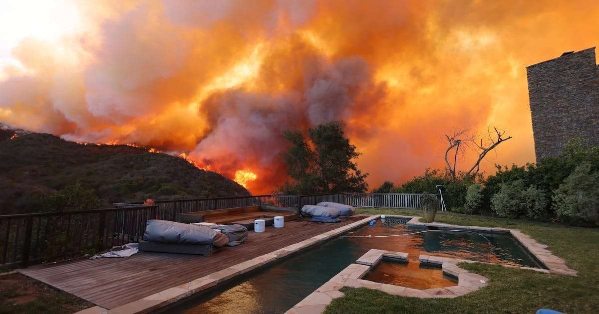 image for Trump’s and Musk’s Disgusting Response to California Fires