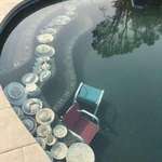 image for A woman submerged her fine china underwater before fleeing California's 2018 wildfires.