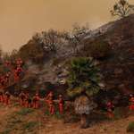 image for Inmate firefighters dig a containment line as they battle the Palisades Fire.