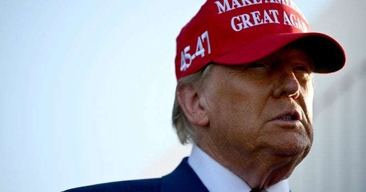 image for Most Canadians don’t want to be American, unless it comes with perks: poll