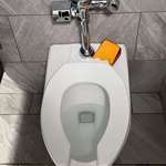 image for Picture from the ladies’ room at a Florida state office building my wife sent me