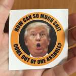 image for Trump bumper sticker