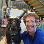 image for Intercourse with llamas made Mark Zuckerberg seek more masculine energy at Meta (fact-checked)