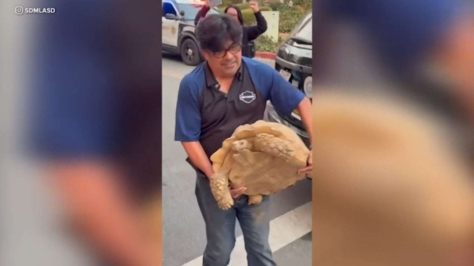 image for Family's 100-pound pet tortoise found safe after surviving Eaton Fire