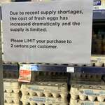 image for “… the cost of eggs has increased dramatically …”  Taken: 1/22/25