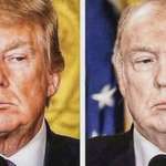 image for Donald Trump Without Hair And Orange Tan