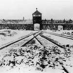 image for Thanks to the Allies who freed people from Auschwitz 80 years ago today