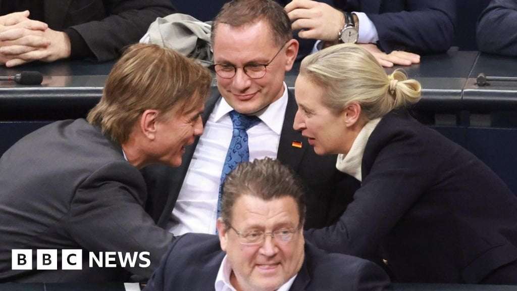 image for Far-right AfD's win on asylum vote rocks German parliament