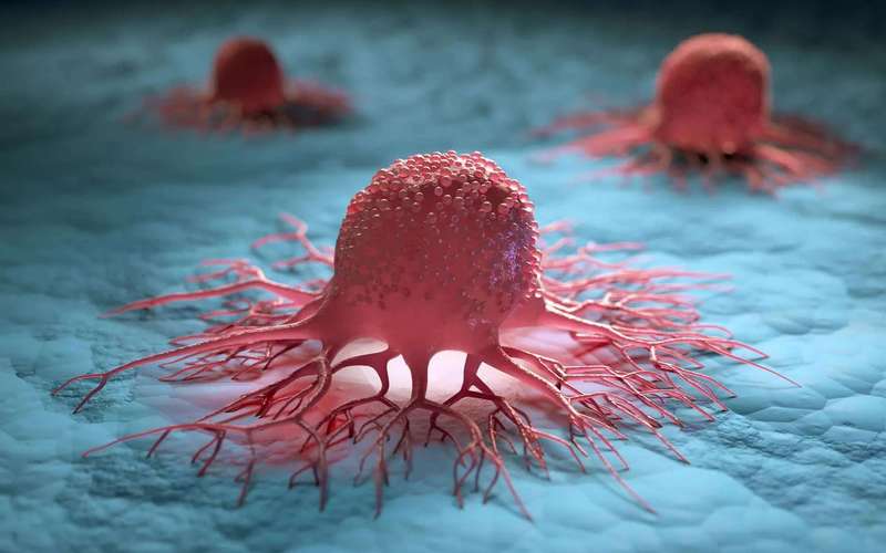 image for Breakthrough ecDNA discovery could revolutionize cancer research