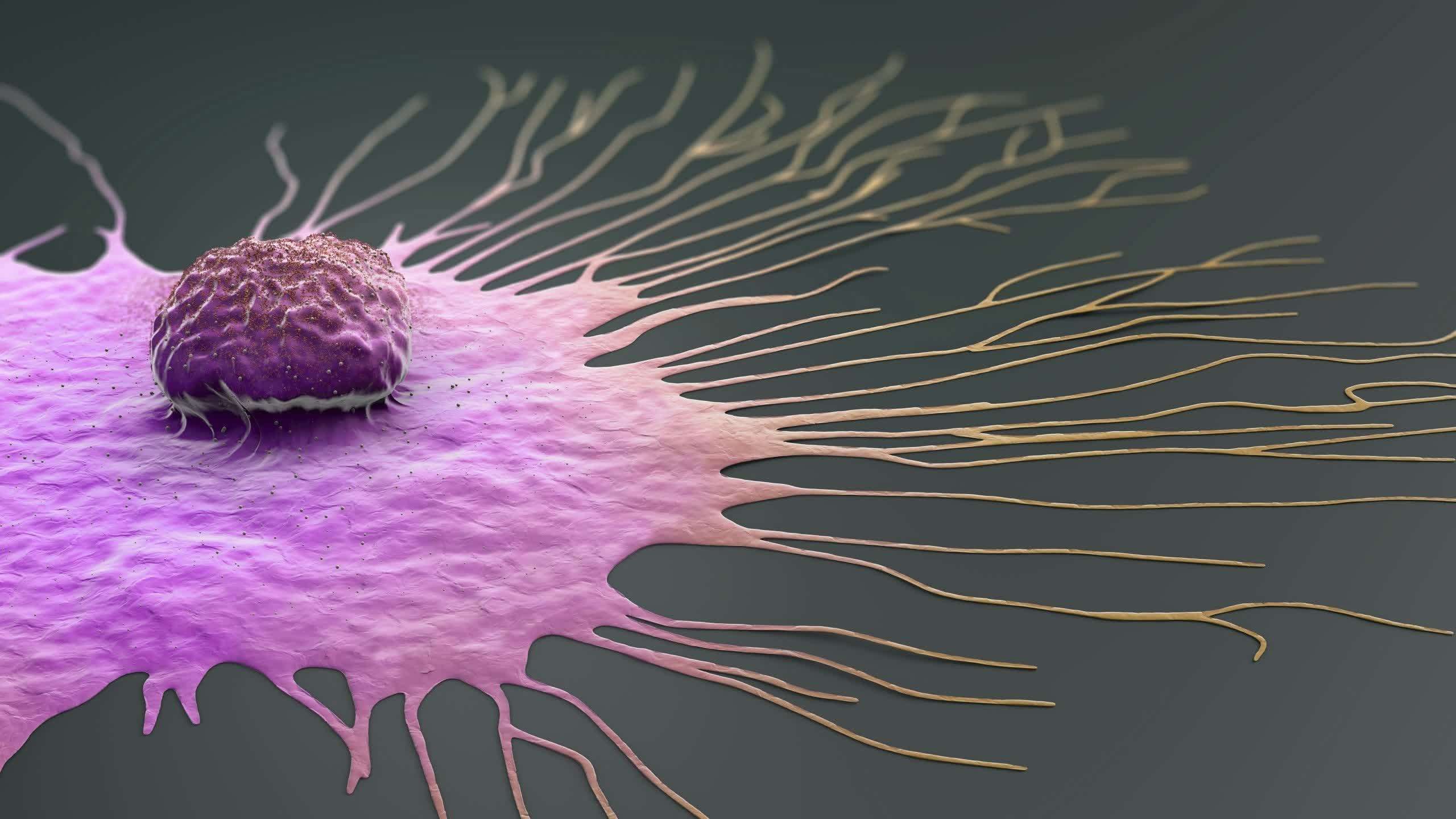 image for New experimental pill shows promising results in killing many types of cancer