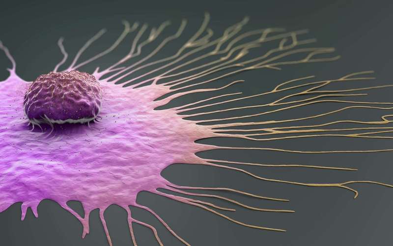 image for New experimental pill shows promising results in killing many types of cancer