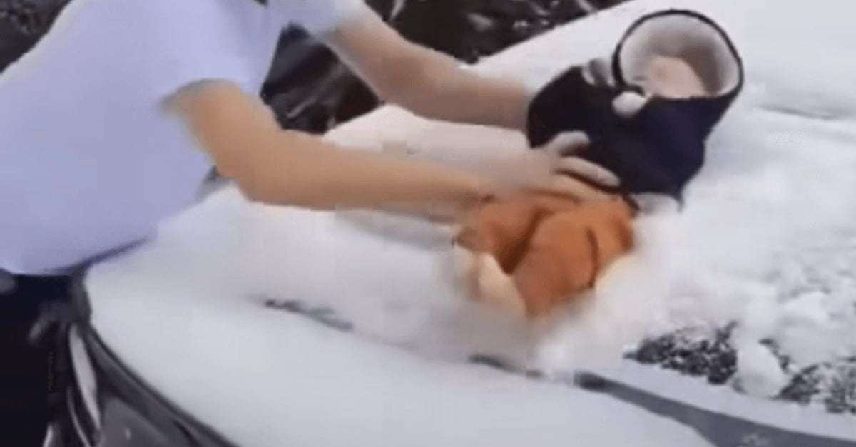 image for Cops to arrest man who used baby to wipe snow off car