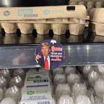 image for At the grocery in front of eggs.