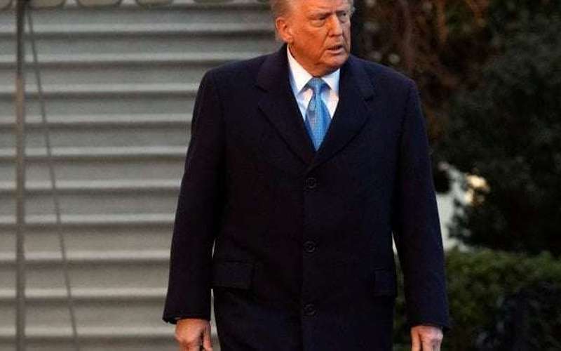 image for After Trump tariffs, Trudeau reveals $155B counter-tariffs on U.S. - National