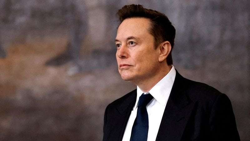 image for We do not know what exactly Elon Musk is doing to the federal government