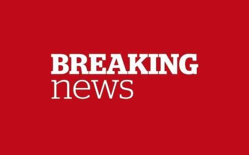 image for Ford 'ripping up' Ontario's $100M contract with Elon Musk's Starlink in wake of U.S. tariffs