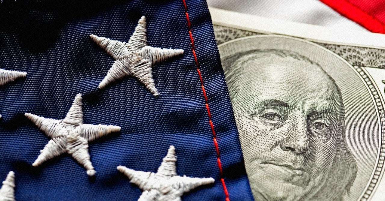 image for A 25-Year-Old With Elon Musk Ties Has Direct Access to the Federal Payment System