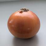 image for Purchased the most beautiful onion today
