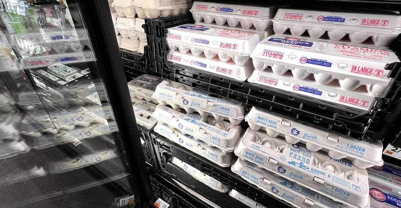 image for 100K eggs stolen from central Pa. supplier