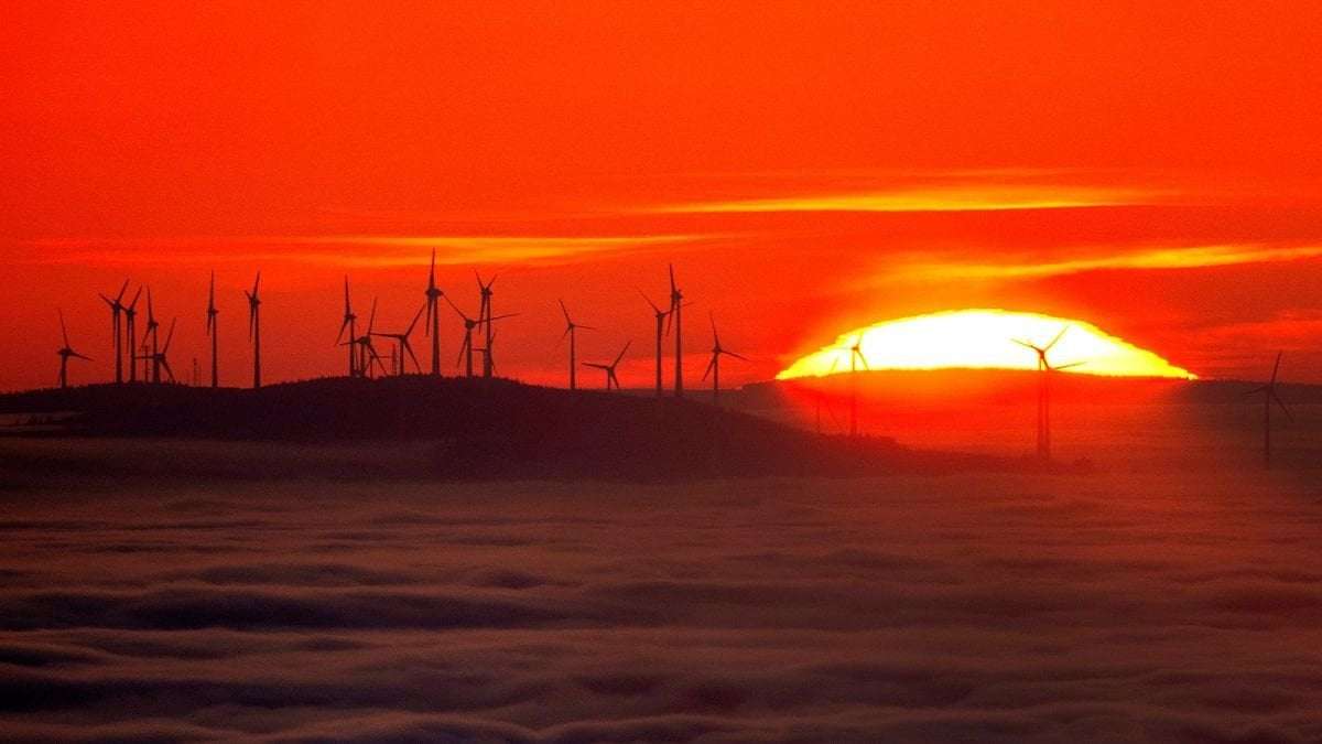 image for ‘Breakneck speed’: Renewables reached 60 per cent of Germany’s power mix last year
