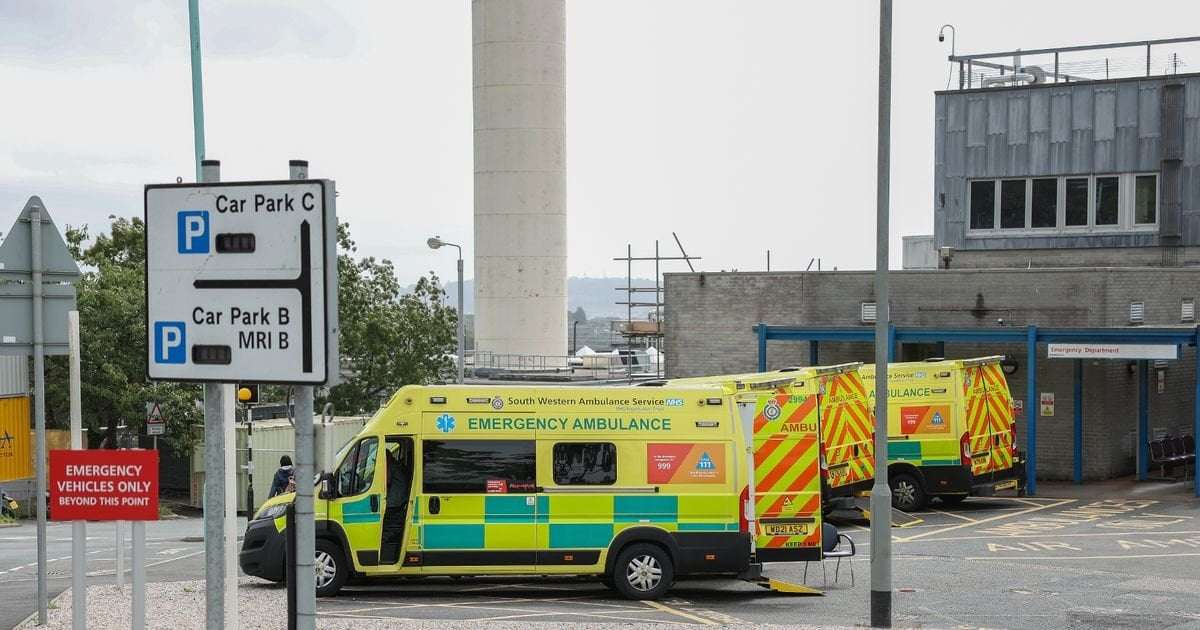 image for Boy, 13, arrested at hospital for 'impersonating a doctor' after turning up wearing scrubs and fake ID