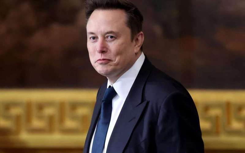 image for German court orders X to hand over election data in legal blow to Musk’s platform