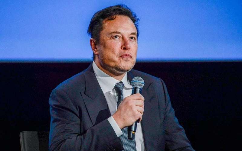 image for ‘‘Nobody Elected Elon Musk Act’’: Dems float legislation to make Musk liable for DOGE's actions