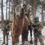 image for Russian army has been supplied with camels.