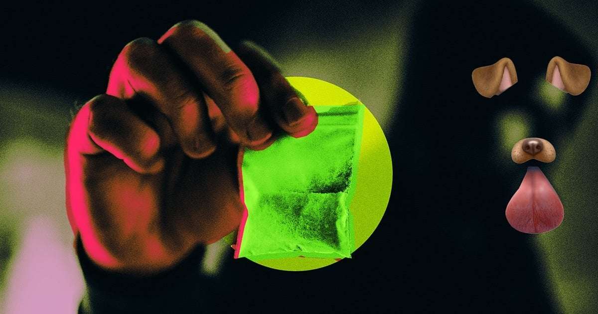 image for One of Elon Musk’s DOGE Staffers Used to Sell Ketamine Professionally
