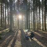 image for The life of a Swedish father on parental leave
