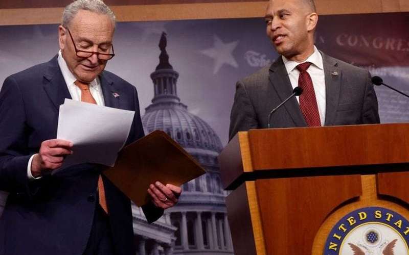 image for Dems Reportedly Angry That Progressives Are Pushing Them to Act Like an Opposition Party