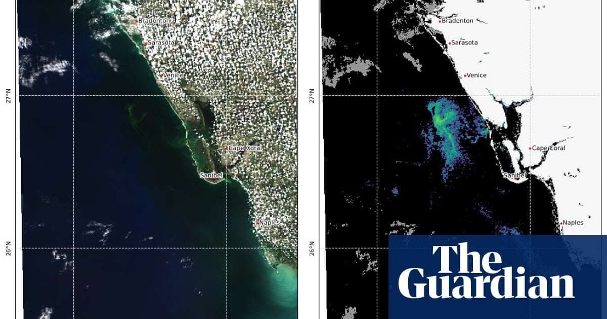 image for DeSantis urged to declare emergency over toxic red tide algae off Florida coast