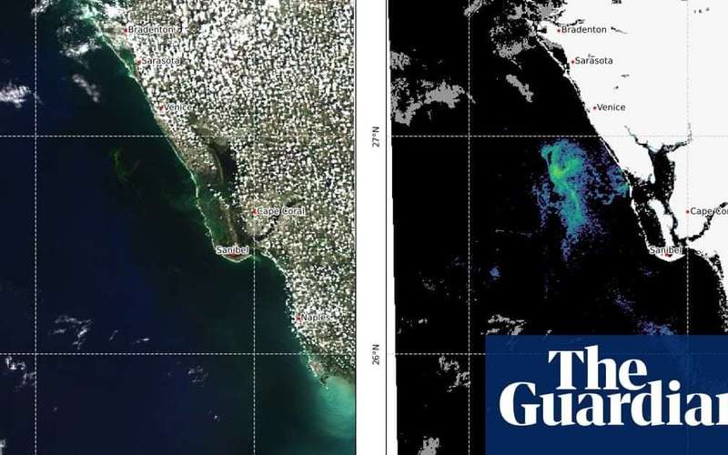 image for DeSantis urged to declare emergency over toxic red tide algae off Florida coast