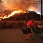 image for A homeless woman escaping the  Los Angeles wildfires in January 2025